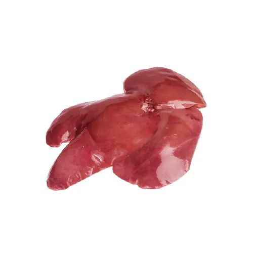 Liver